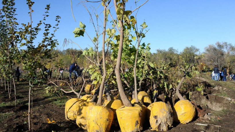  Пресс-служба акима города Алматы 