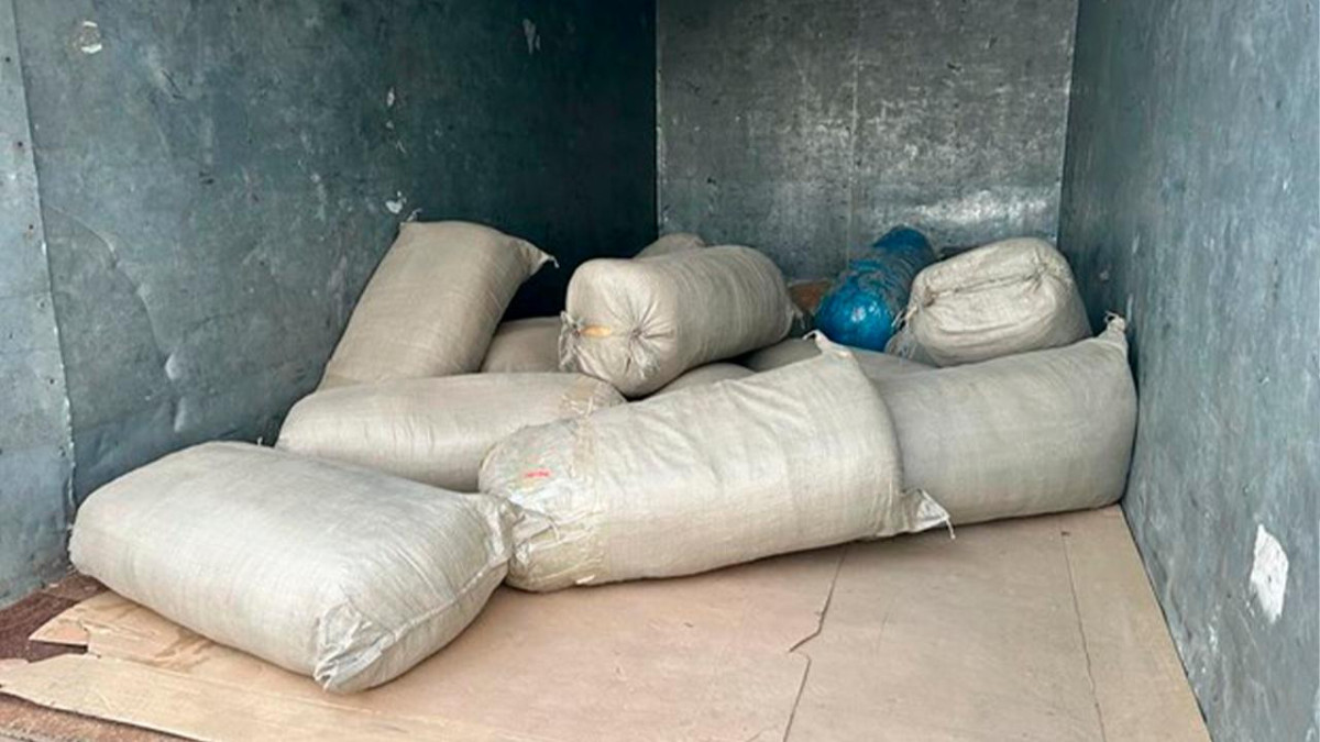 355 кг наркотиков изъял КНБ в Костанайской области