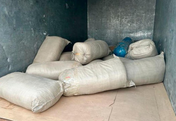 355 кг наркотиков изъял КНБ в Костанайской области