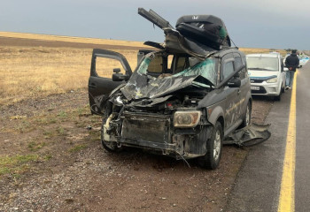 Жетісуда жолға шауып шыққан жылқы адам өліміне себеп болды