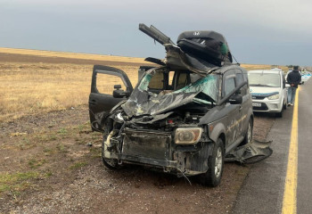 Лошадь выбежала на дорогу и спровоцировала смертельное ДТП в Жетісу