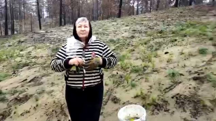  Кадр из видео 