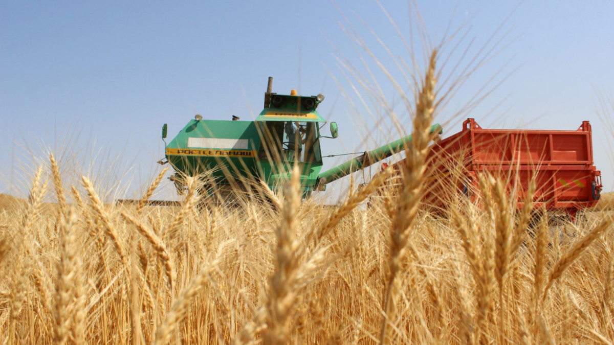  Ашық дереккөзден 