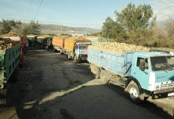 В Жетысу сахарный завод приступил к приемке свеклы