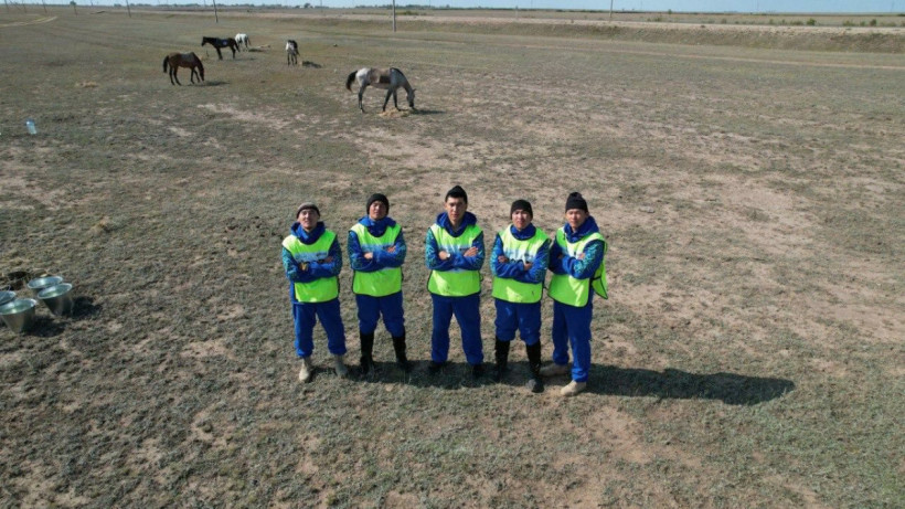  Ашық дереккөзден 