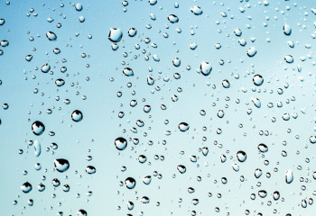 Дожди, туман и заморозки ожидаются в Казахстане