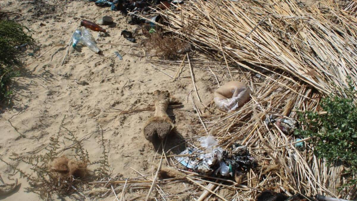  ІІМ баспасөз қызметі 