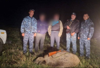 Қостанай облысында заңсыз аң аулаудың 39 дерегі тіркелді