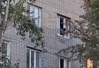 Петропавлда ер адам жанжал кезінде нәрестені терезеден лақтырып жібермек болған