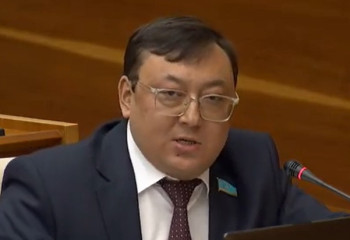 Депутат мүмкіндігі шектеулі жандарға көлікті 4 пайыздық несиемен беруді сұрады