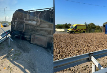 Картофелем засыпало трассу в Павлодаре