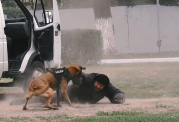 Алматыда Қазақстан мен Қырғызстанның кинологиялық қызметтерінің арнайы оқу-жаттығуы өтті