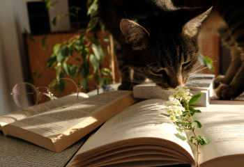 Interactive catalog of  literature for Kazakh schools presented in Kazakh  Ministry of Education