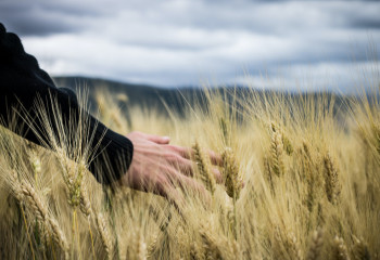 Kazakhstan celebrates Labor Day