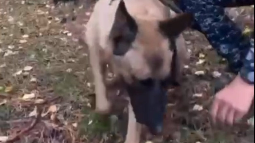  Кадр из видео 