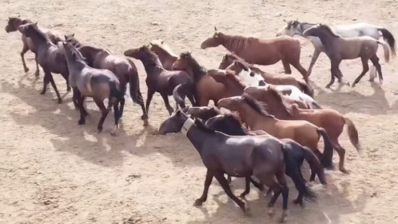  instagram.com/pavlodar.rsk 