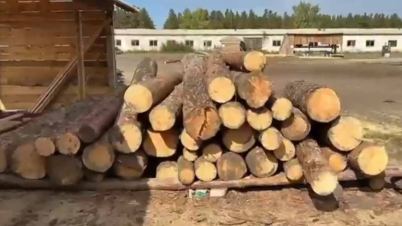  Видеодан кадр 