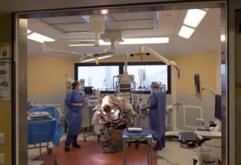 АҚШ-та екінші адамға шошқаның жүрегі салынды