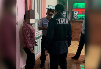 Притон в кафе организовала жительница Жамбылской области