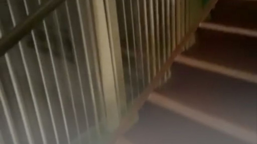  Кадр из видео 