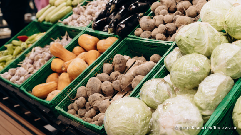  El.kz/Жалғасбек ТОҚТАМЫСОВ 