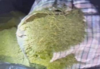 Более 30 тысячи доз наркотиков не допустили в оборот актюбинские полицейские