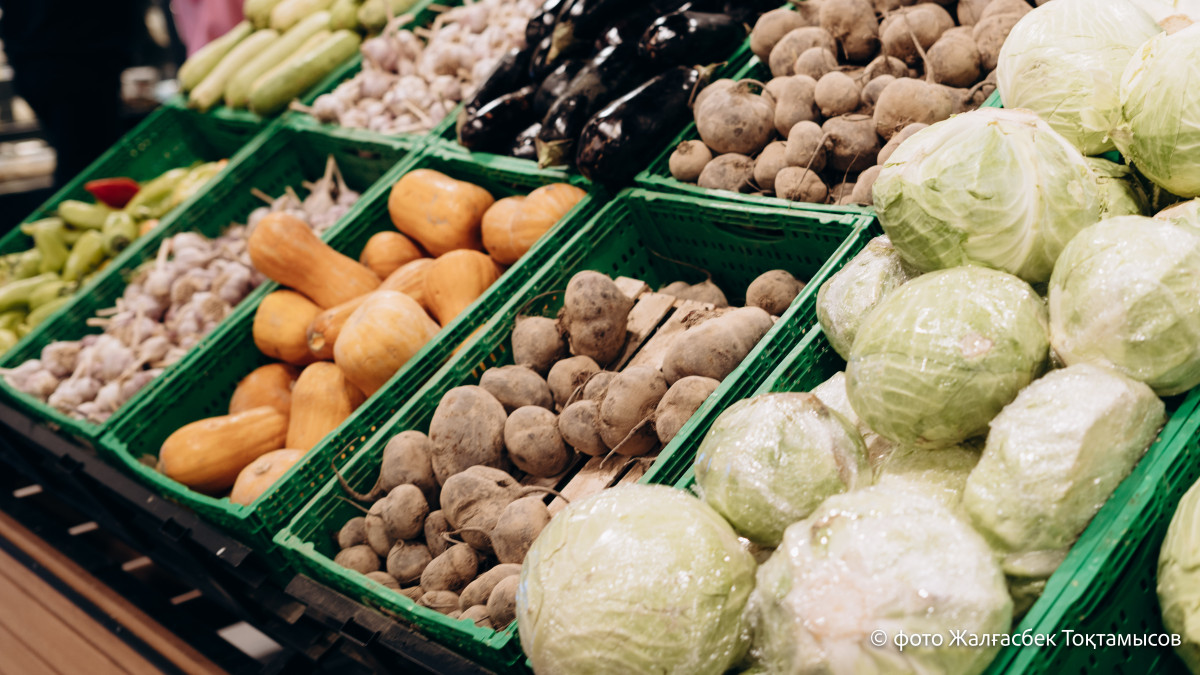  El.kz/Жалғасбек ТОҚТАМЫСОВ 