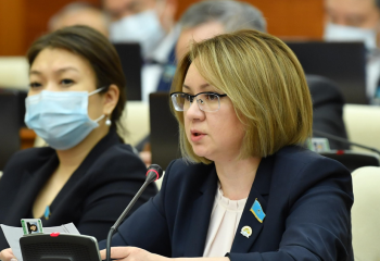 Тұрмыстық зорлық-зомбылық туралы заңды қатаңдату оны тыя ма? Депутат пікірі