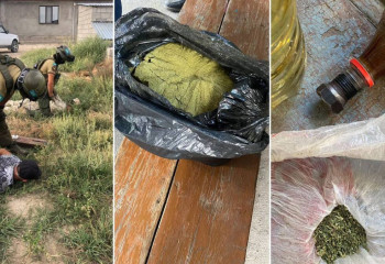 Переоборудовали под наркопритон частный дом в Жетысуской области