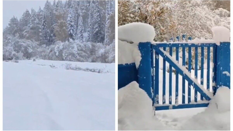  видеодан алынған кадр 