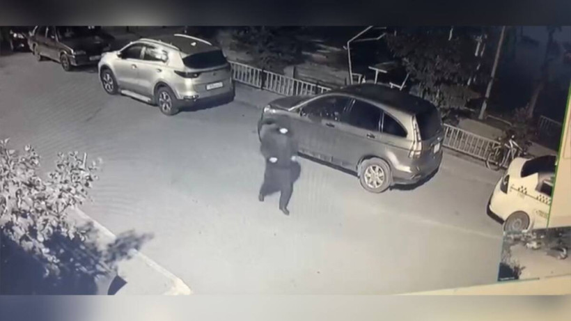  видеодан алынған кадр 