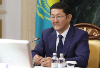 Пожары и неконтролируемые рубки леса приведут к еще большему его сокращению – Генпрокурор Казахстана