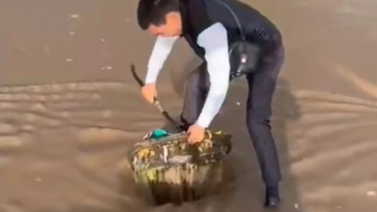  Скриншот видео 