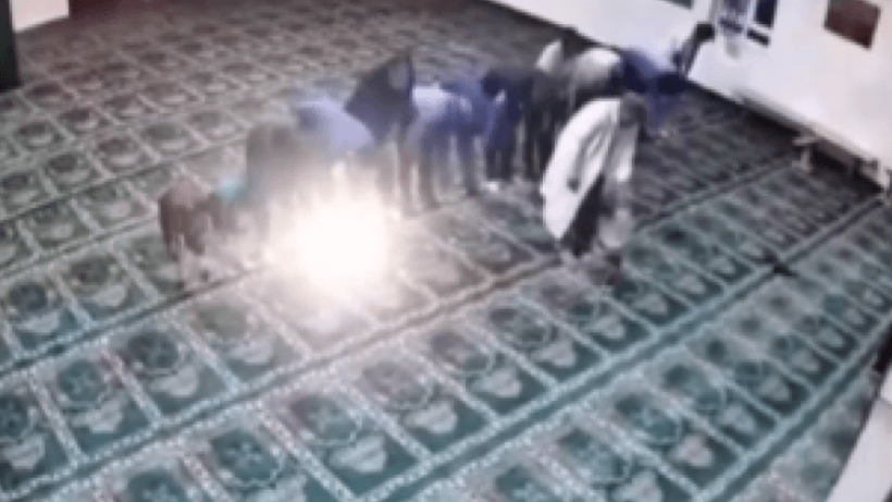  Видеодан кадр 