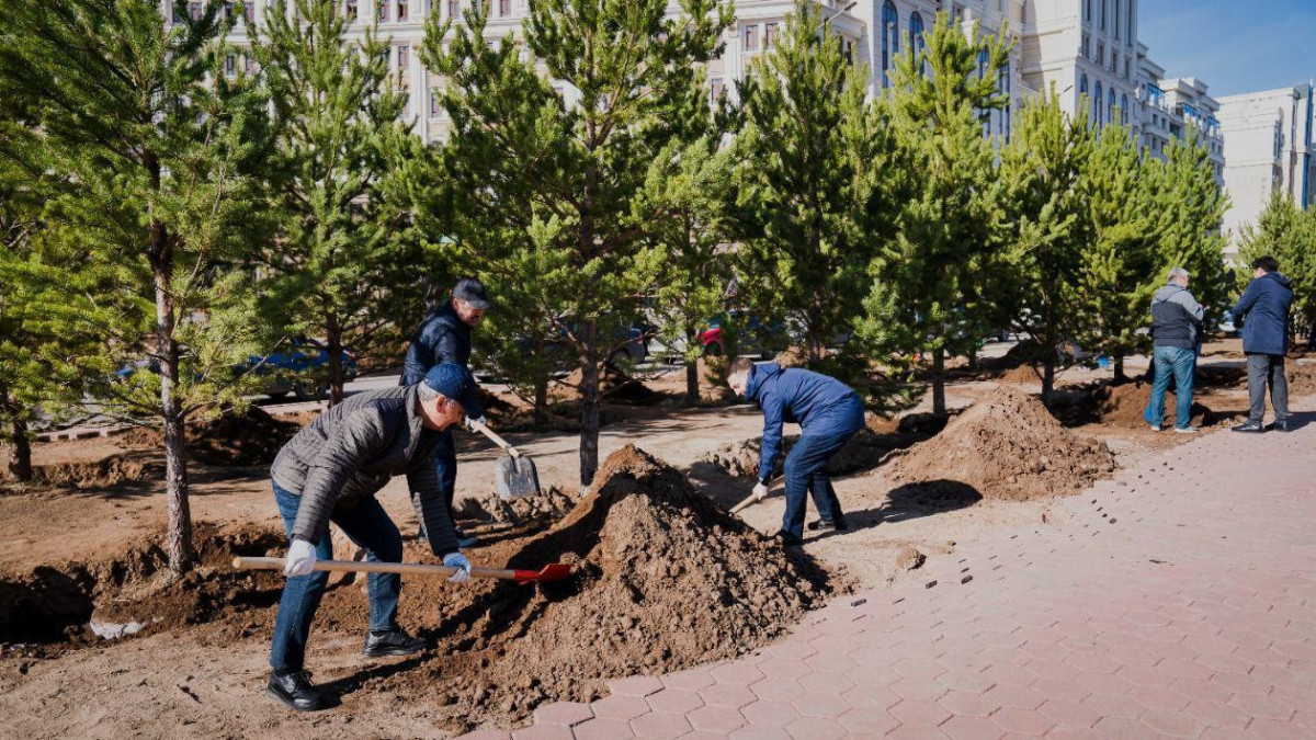 Астанада 1200-ден астам ағаш отырғызылды