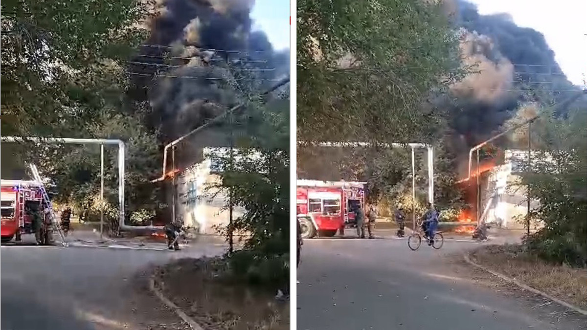  Видеодан кадр 