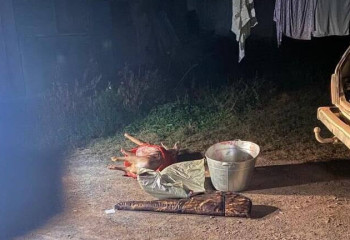 В Жетысуской области задержали браконьера с тушами косуль