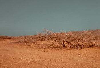 Обмеление Аральского моря учатся отслеживать казахстанские синоптики в Германии