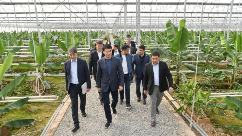  Акимат Туркестанской области 