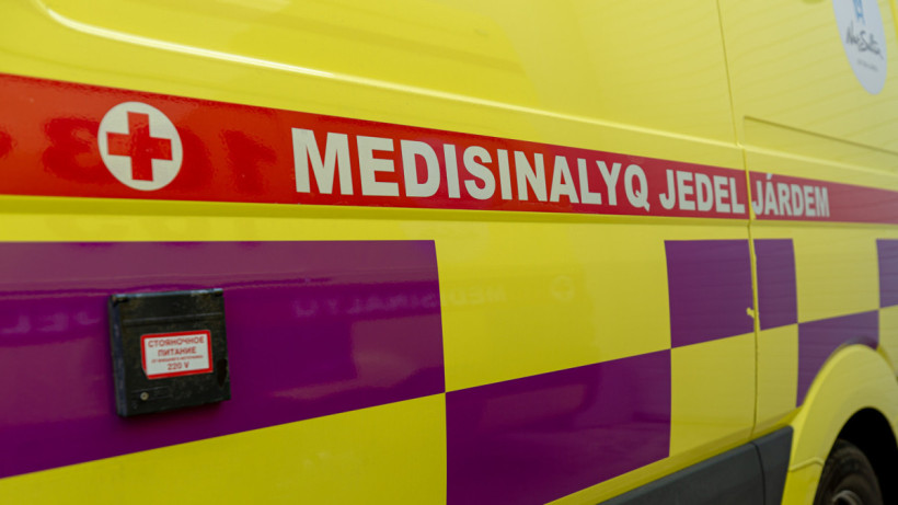  ©El.kz/Артем ЧУРСИНОВ 