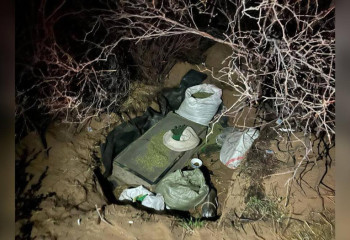 Гашиш и марихуану почти на 10 млн тенге нашли у жителя Жамбылской области