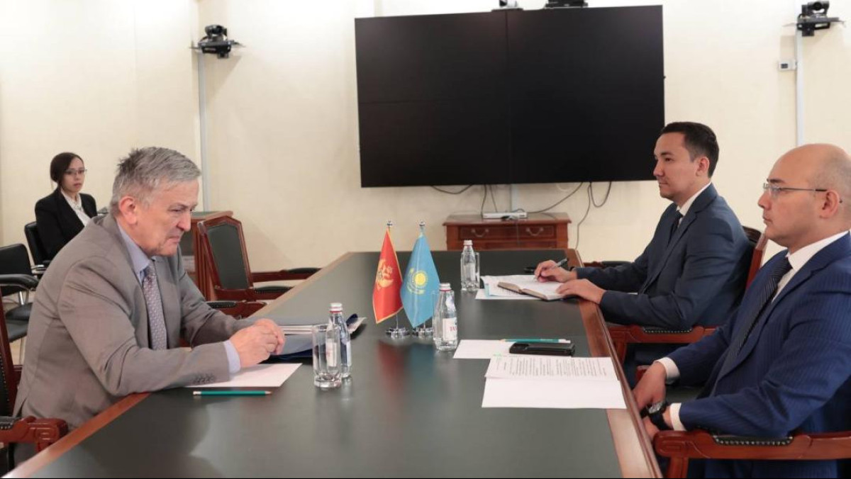 Министр нацэкономики встретился с Послом Черногории