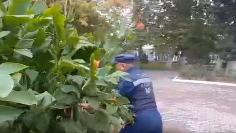  Кадр из видео 