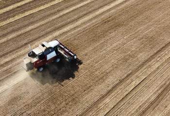 Многие фермеры Казахстана еще не приступили к сбору урожая