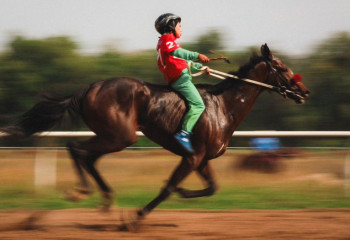 В Алматы прошел чемпионат Казахстана по байге