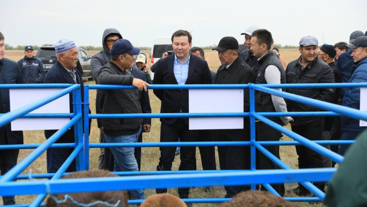Субсидии предоставят аграриям Актюбинской области