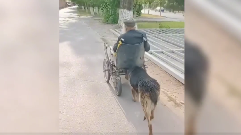  Видеодан алынған кадр 