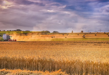 EAEU improves conditions for farmers