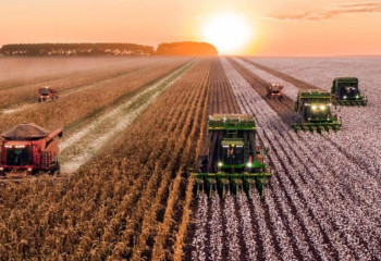 Түркістанда биыл агроөнеркәсіптік кешендерді қолдауға 40 млрд теңге бөлінді