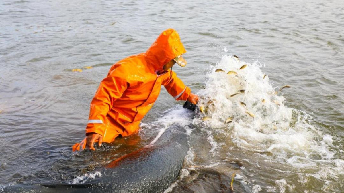  Астана қаласы әкімдігінің ресми сайты 